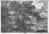 Jacob van Ruisdael: Die Hütte auf dem Hügel