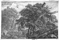 Jacob van Ruisdael: Die große Buche